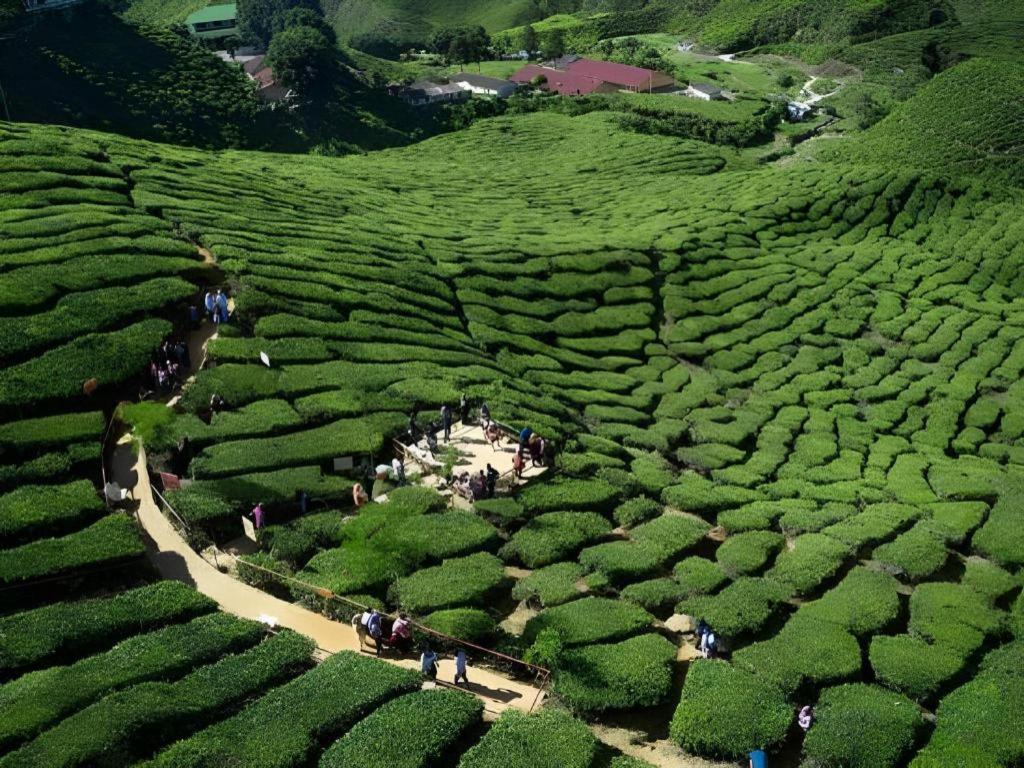Camlodge Budget Hotel Cameron Highlands Eksteriør bilde